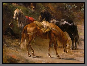 Cai-(80x60cm)-1400-lei.jpg